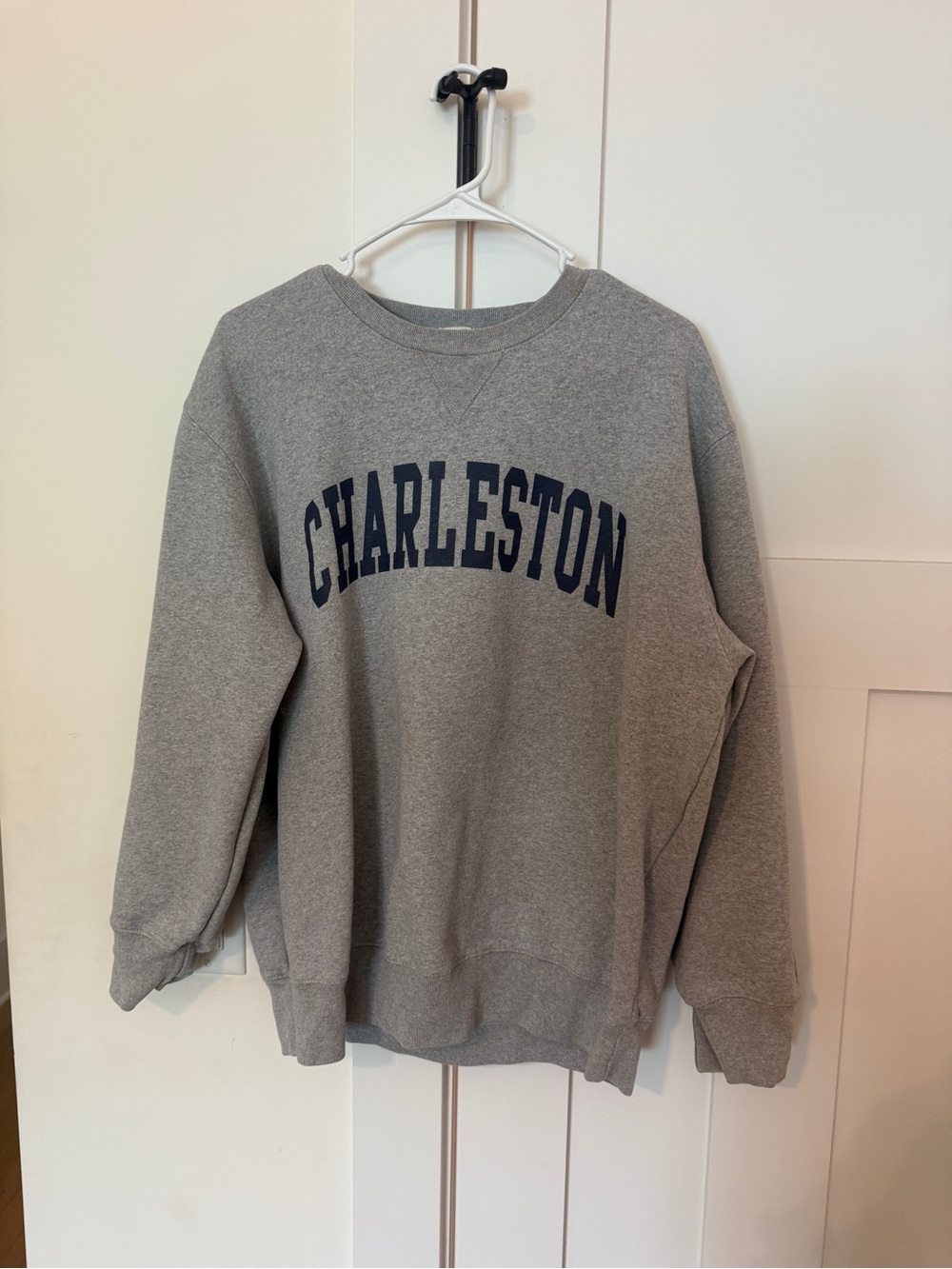Brandy Melville Charleston crewneck